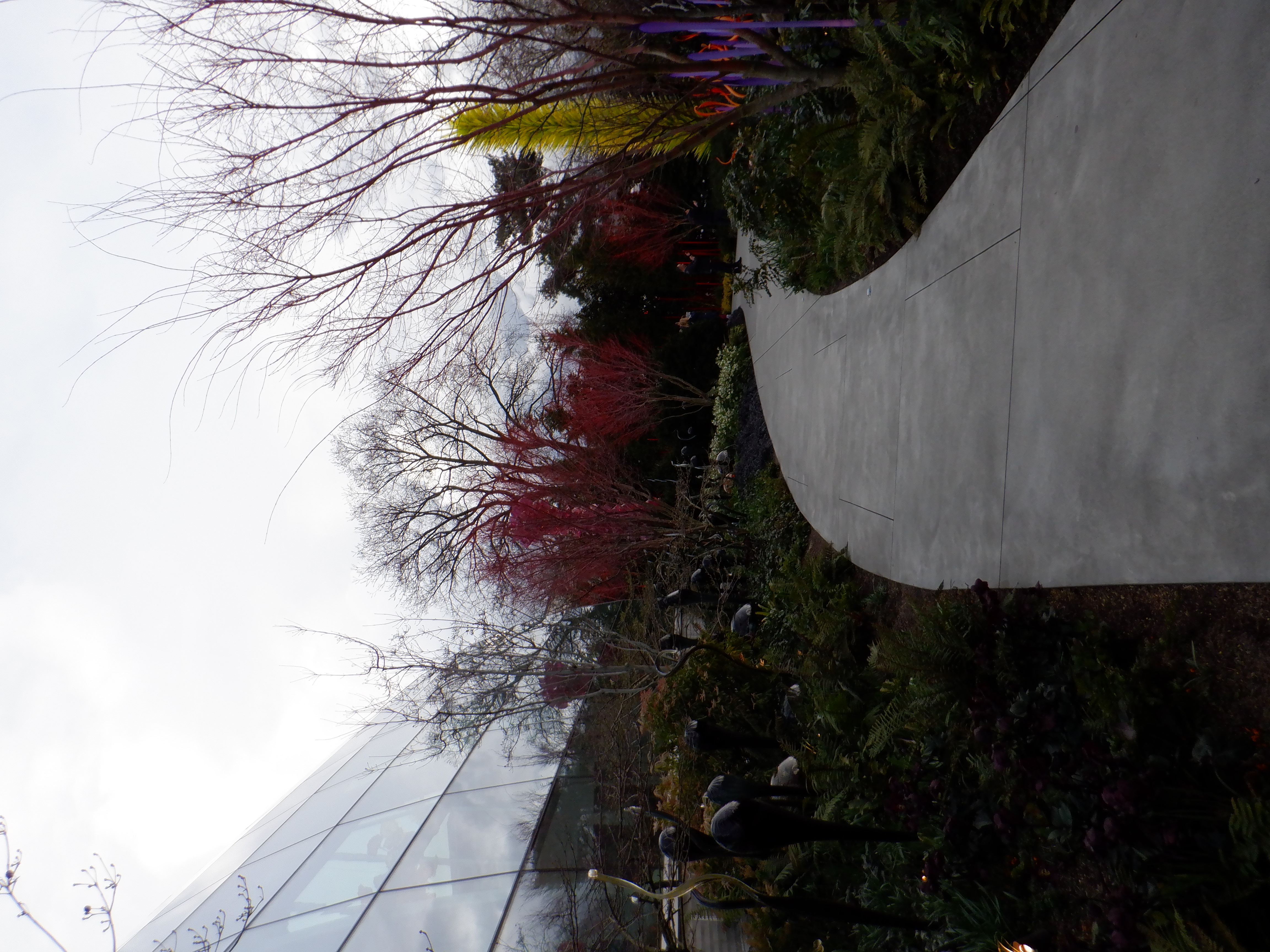 ./2020/03 - Seattle/DSCF1253.JPG